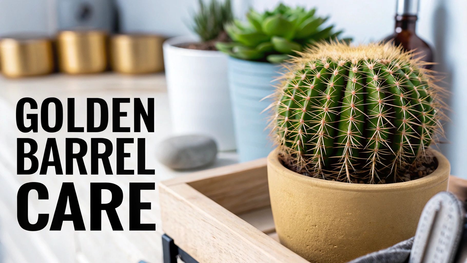 Golden Barrel Cactus Care Guide for Thriving Plants