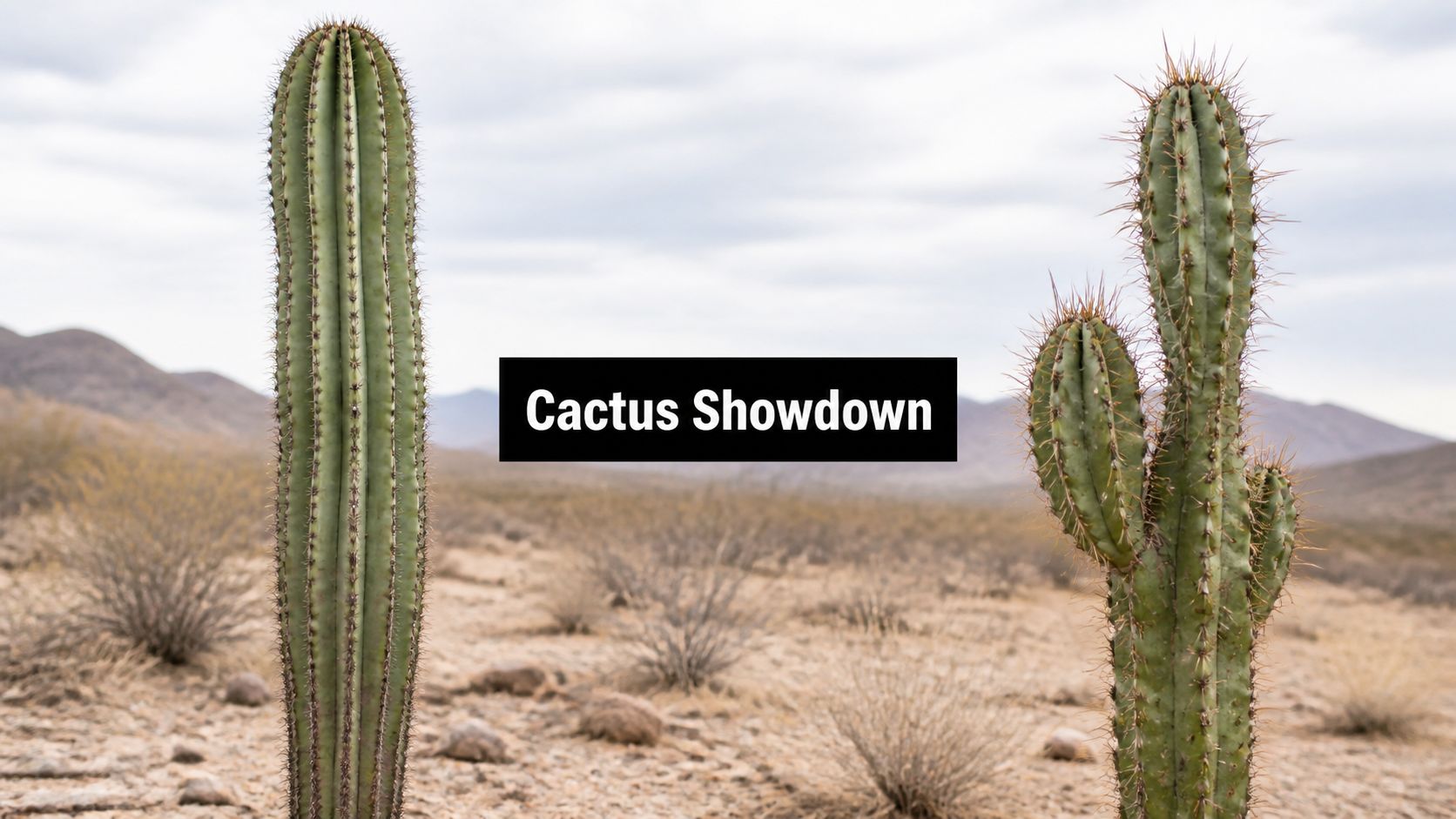 Mexican Fence Post Cactus vs Peruvian Apple Cactus