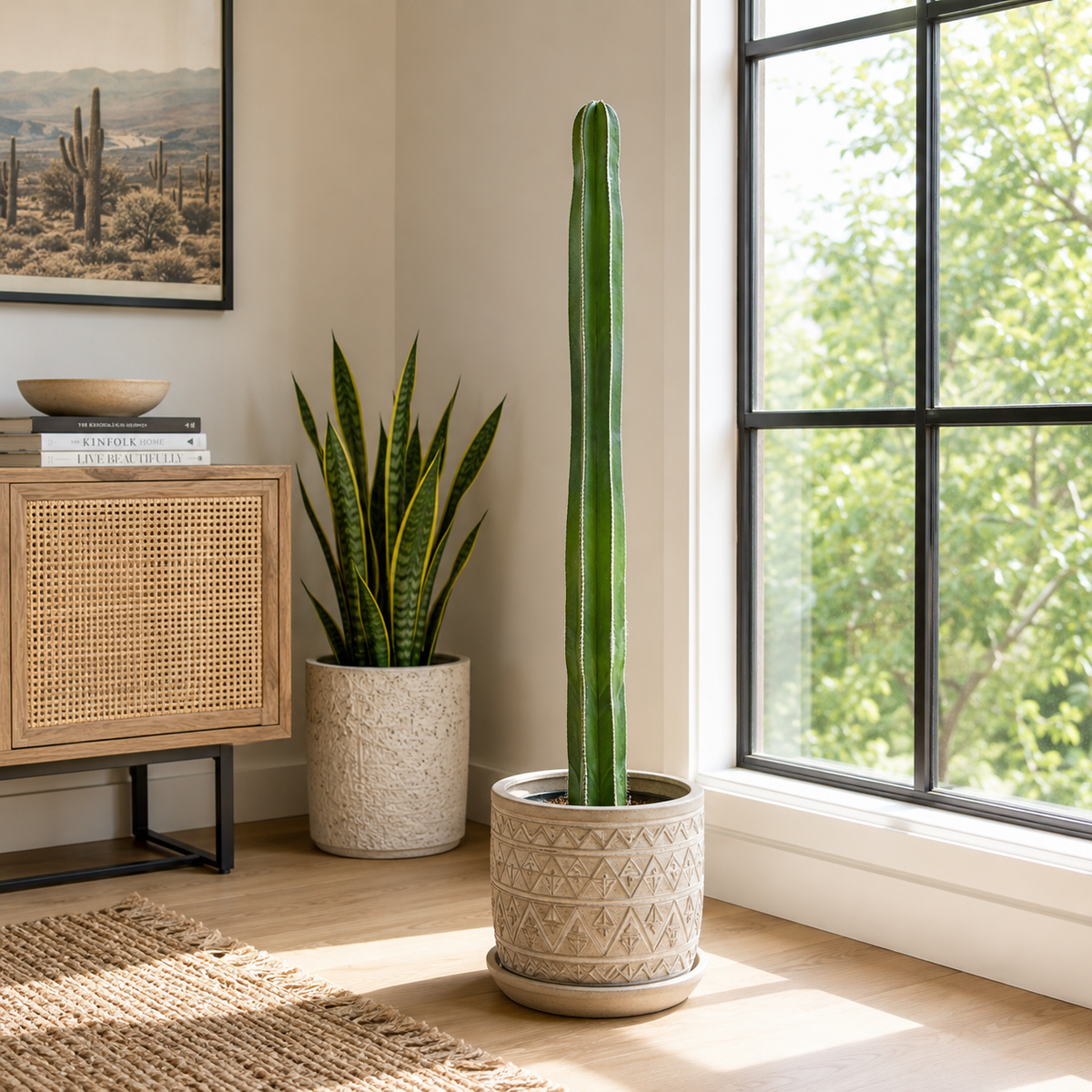 A tall green cactus in a textured beige pot with a matching saucer, placed in a bright room next to a window, with a snake plant in a similar pot in the background.