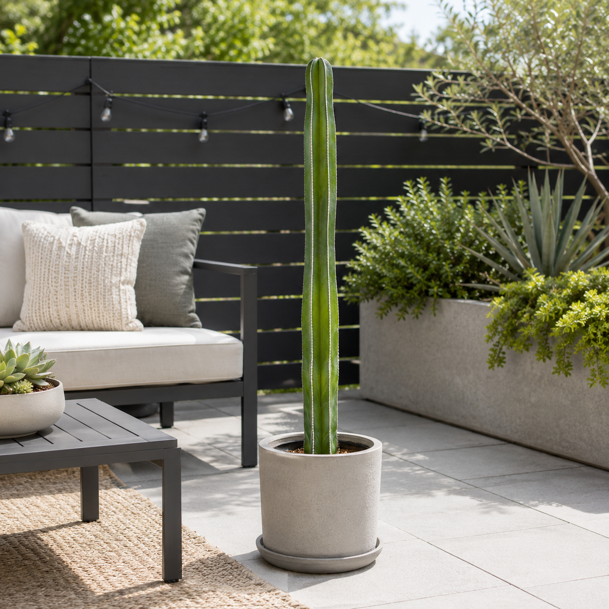 A tall green cactus in a light gray concrete planter on a tiled patio, with a dark gray outdoor sofa, coffee table, and greenery in the background.