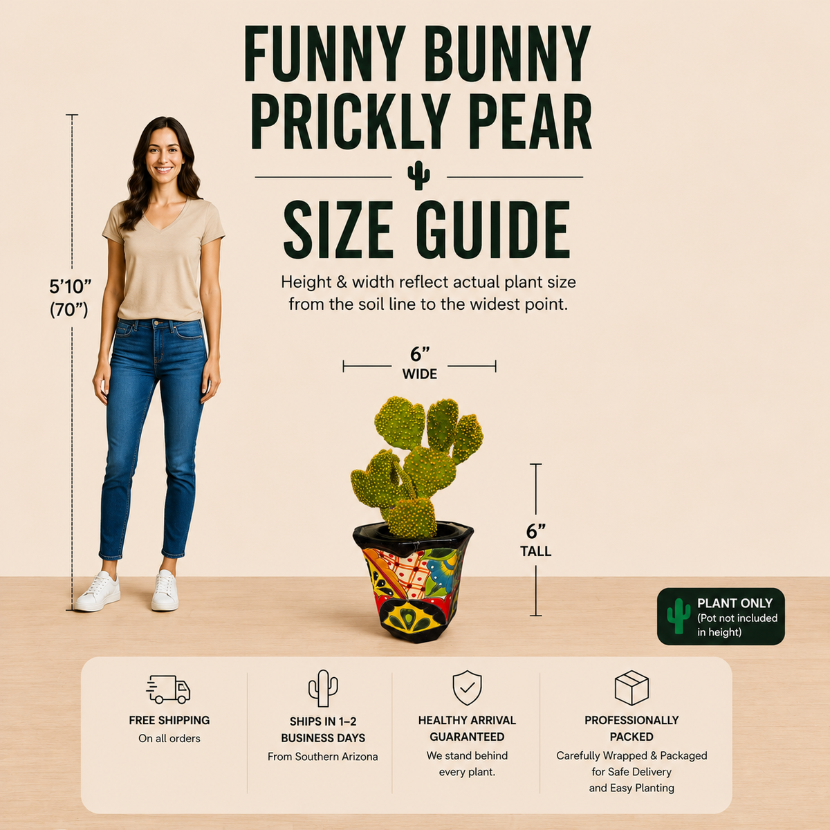 Live Funny Bunny Prickly Pear with unusual paddle-shaped growth and yellow-gold glochids.