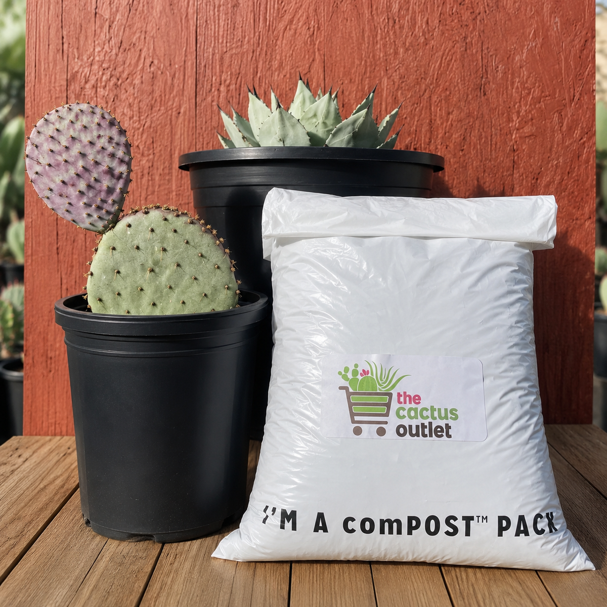 Cactus and succulent growers soil product display