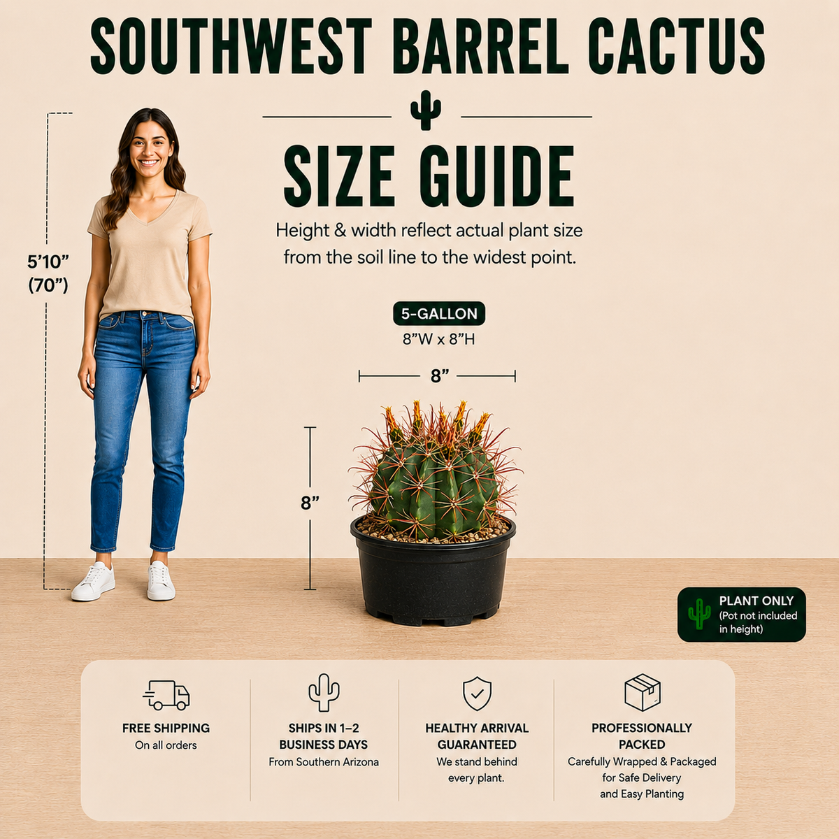 Southwest Barrel Cactus