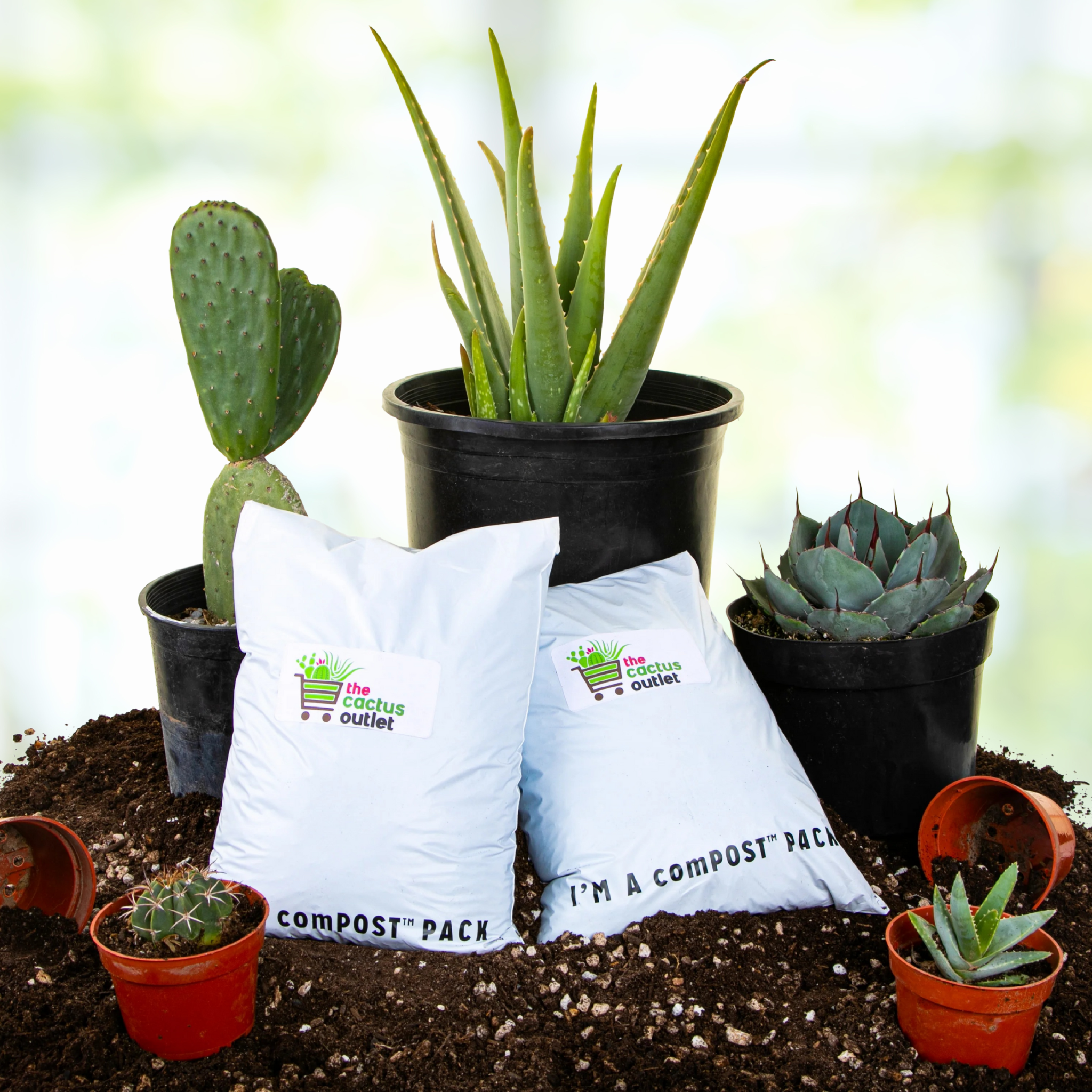 Two compostable bags containing cactus and succulent growers soil with plants and pots on a natural background