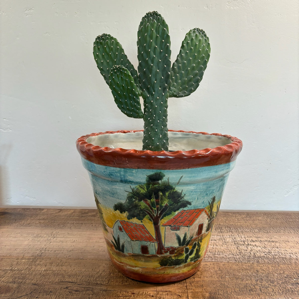 Hand-made and Hand-Painted Talavera Pot Made in Mexico For Sale Online With a Tall Cowboy prickly pear Cactus Plant in It.
