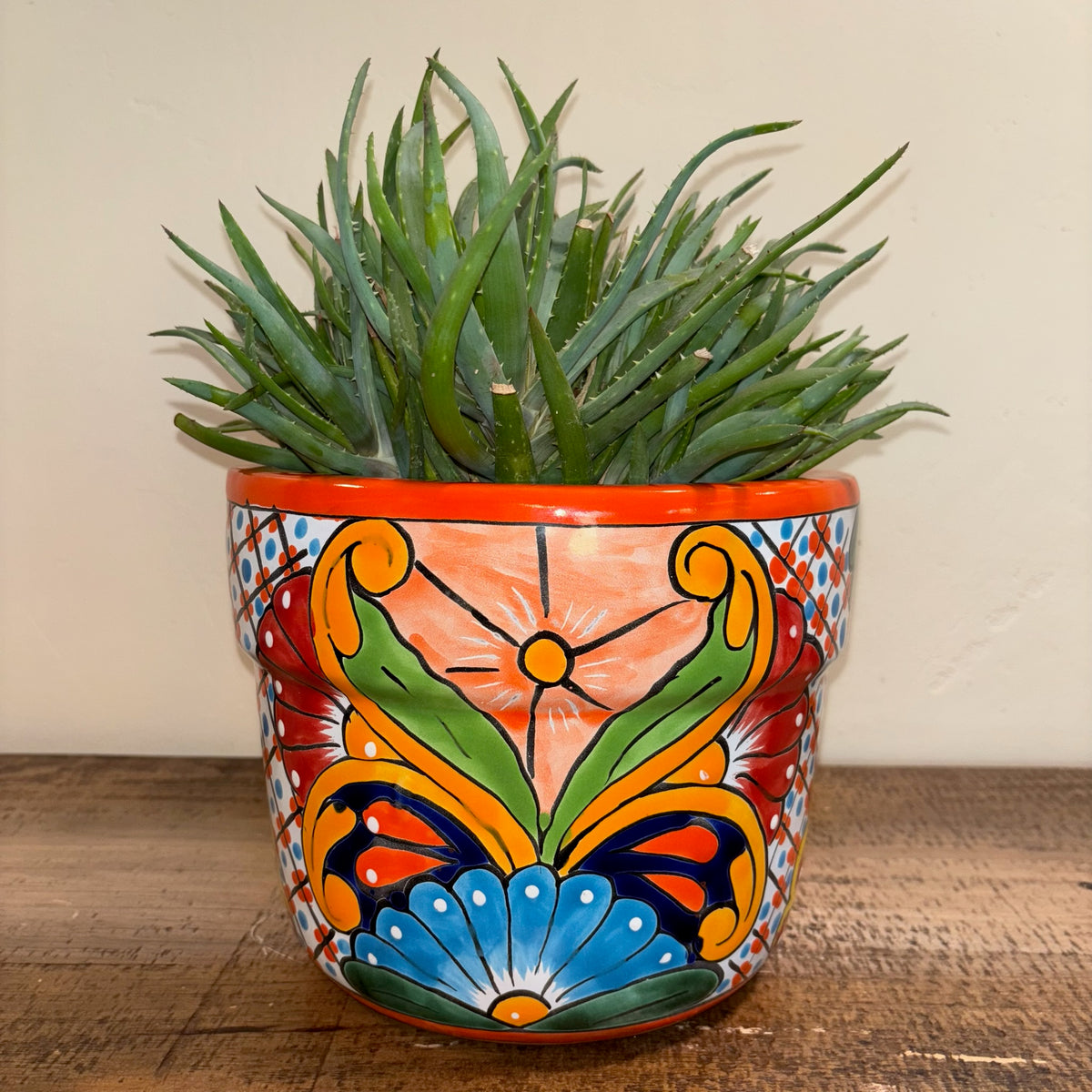 Aloe 'Crosby's prolific' Succulent Plant In a Hand-Made and Hand-Painted Talavera Pot From Mexico For Sale Online