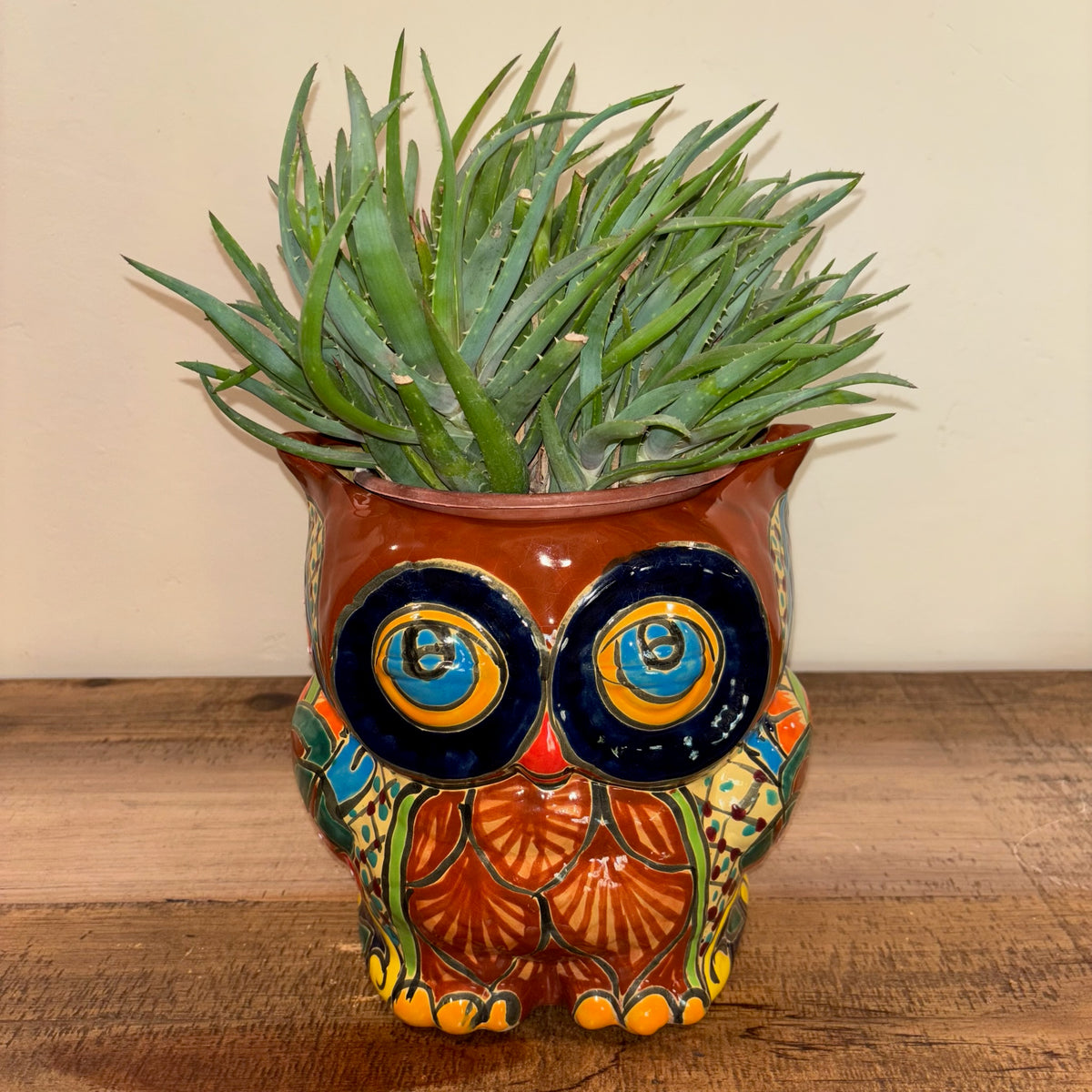 Aloe 'Crosby's prolific' Succulent Plant In a Hand-Made and Hand-Painted Talavera Pot From Mexico For Sale Online