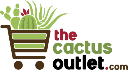 The Cactus Outlet