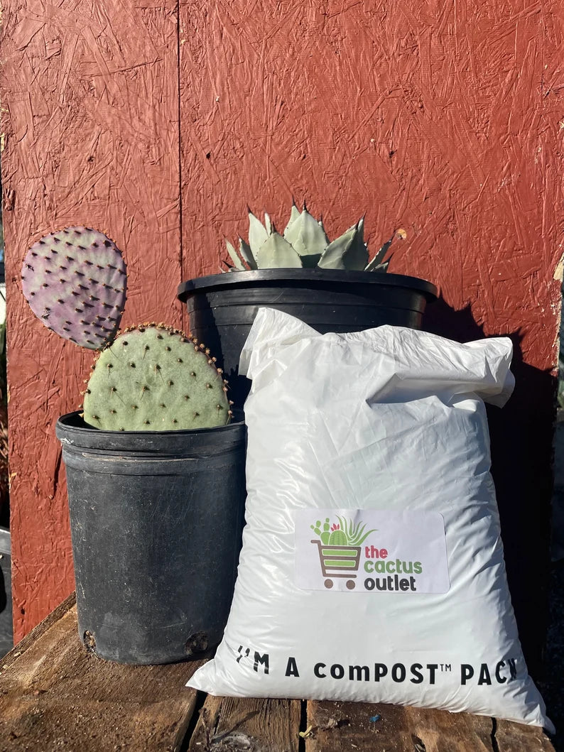 Bag of Cactus and Succulent Soil Mix For Sale Online With Potted Agave and Purple Prickly Pear Plants For Sale
