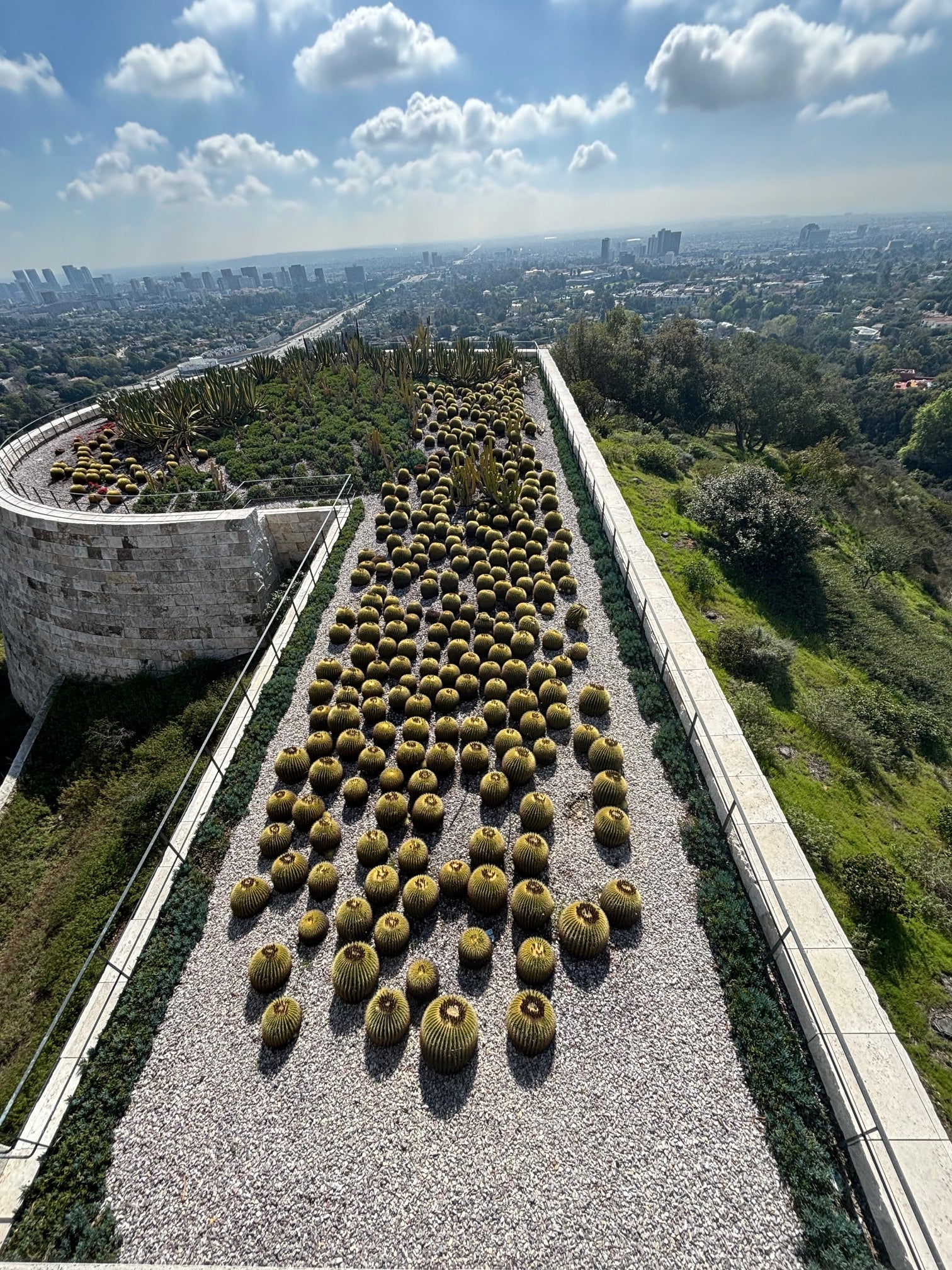 A Barrel of Fun:  Exploring Different Types of Barrel Cacti