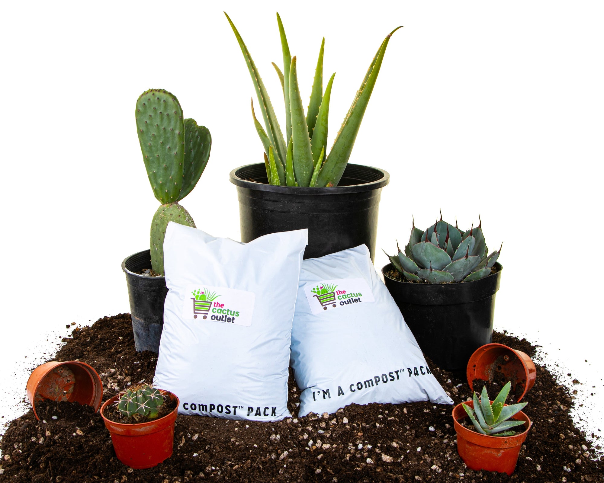 What kind of soil should I use for my cacti and succulents?