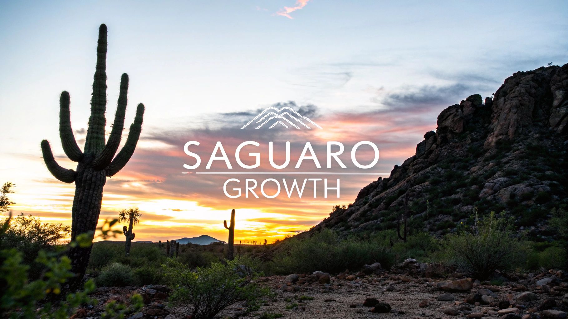 Saguaro Cactus Growth Rate Explained