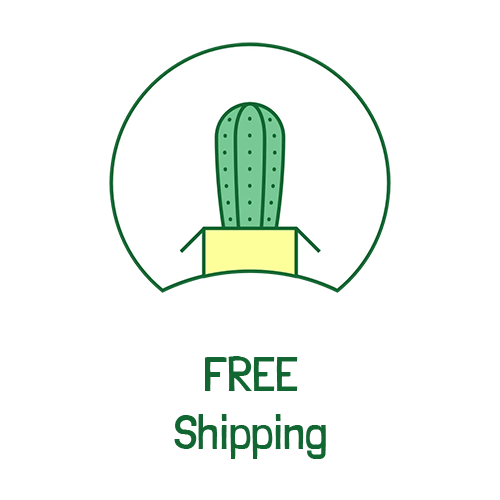 Free Shipping Tag