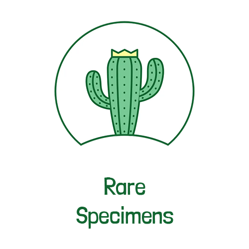Rare Specimens Text