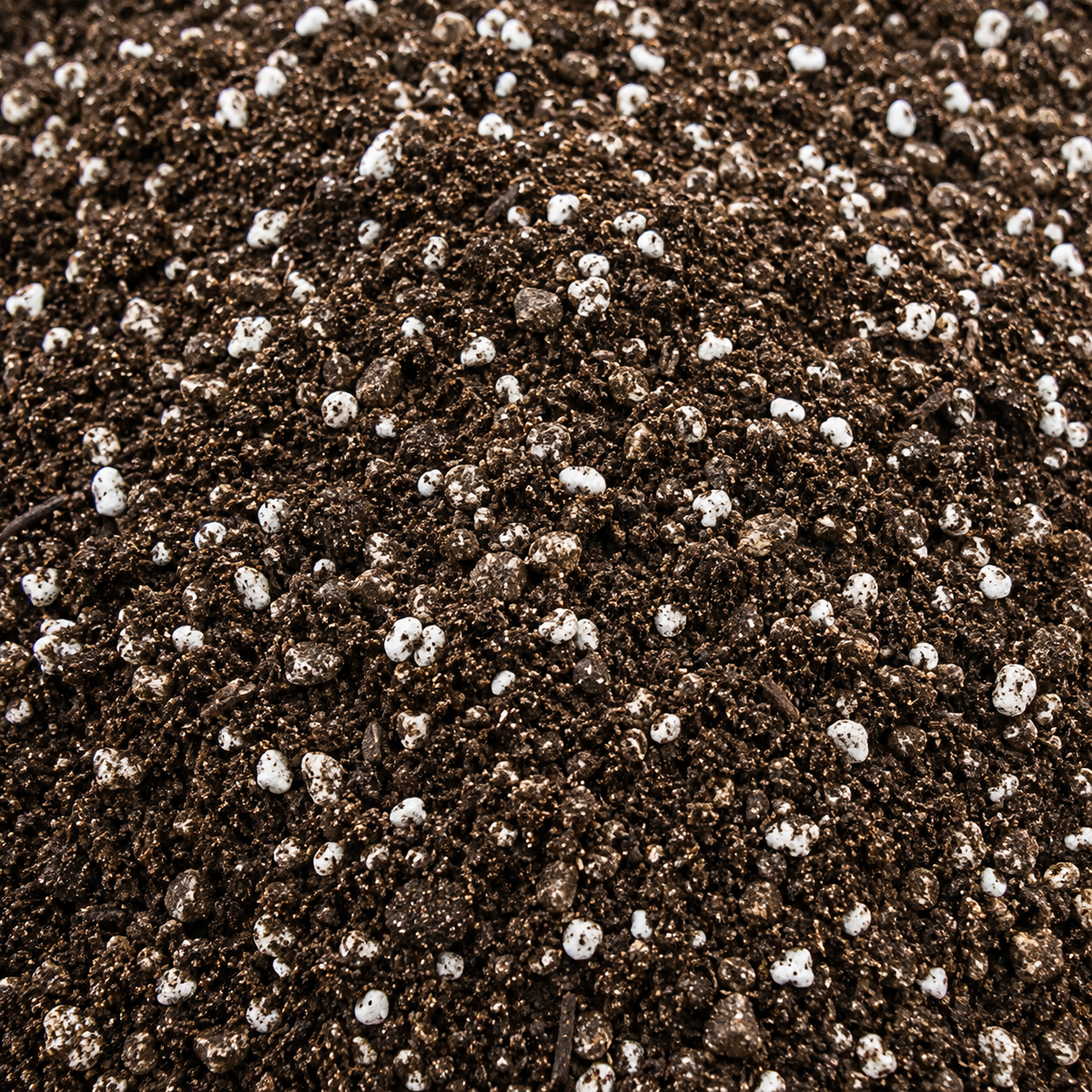 Cactus and succulent growers soil product display