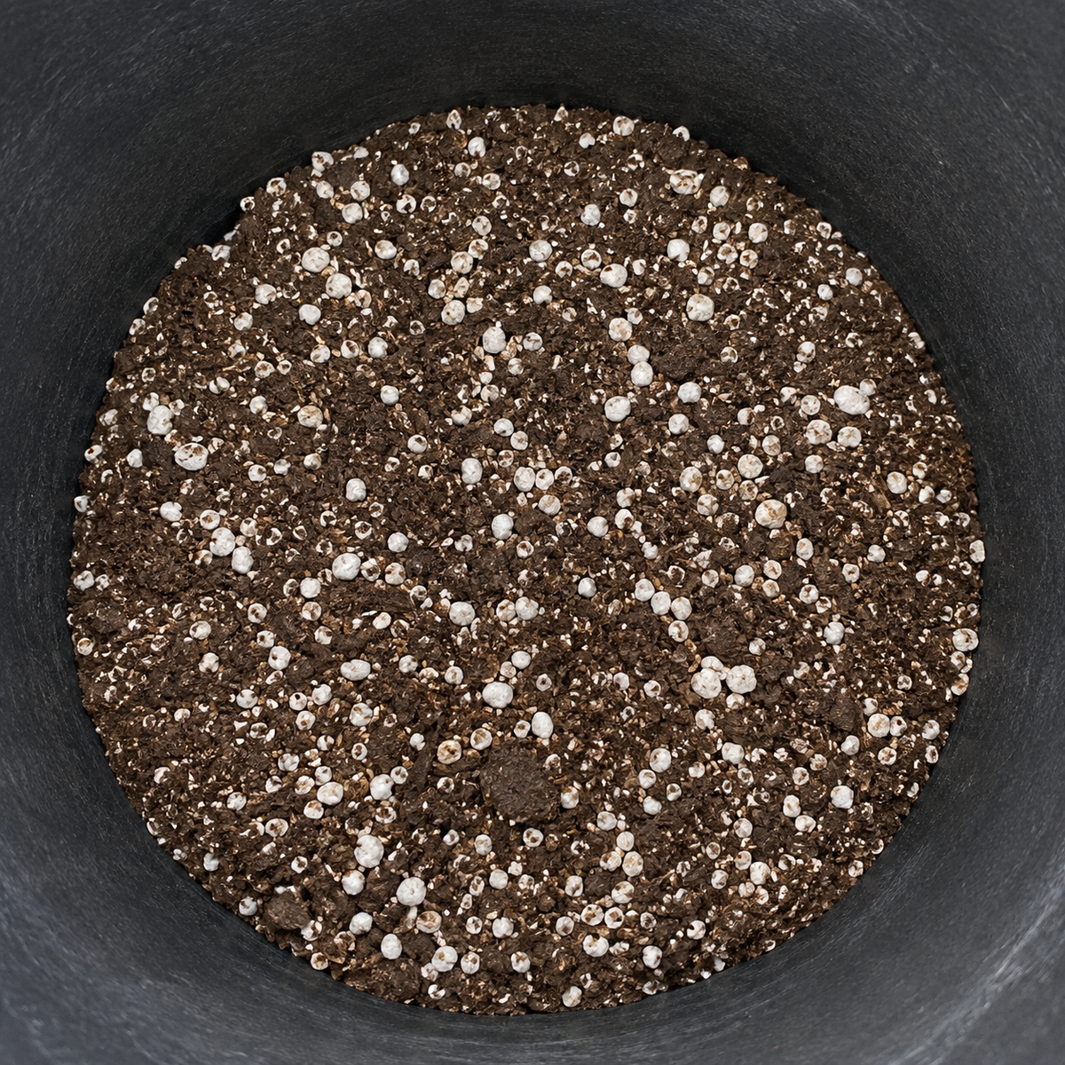 Cactus and succulent growers soil product display