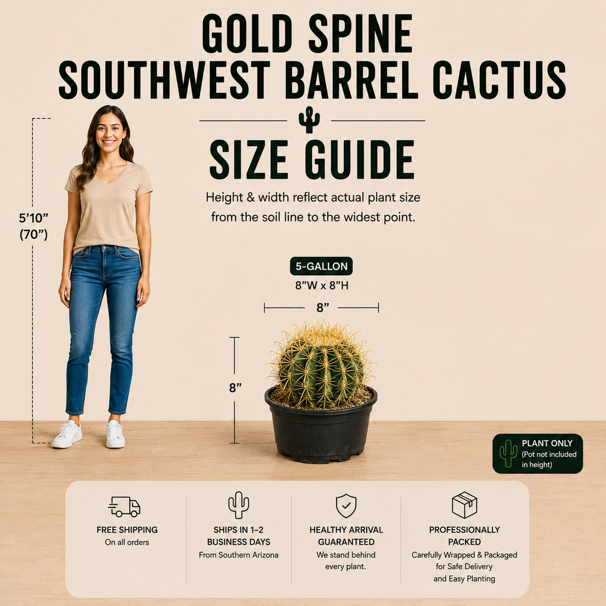 Gold Spine Southwest Barrel Cactus