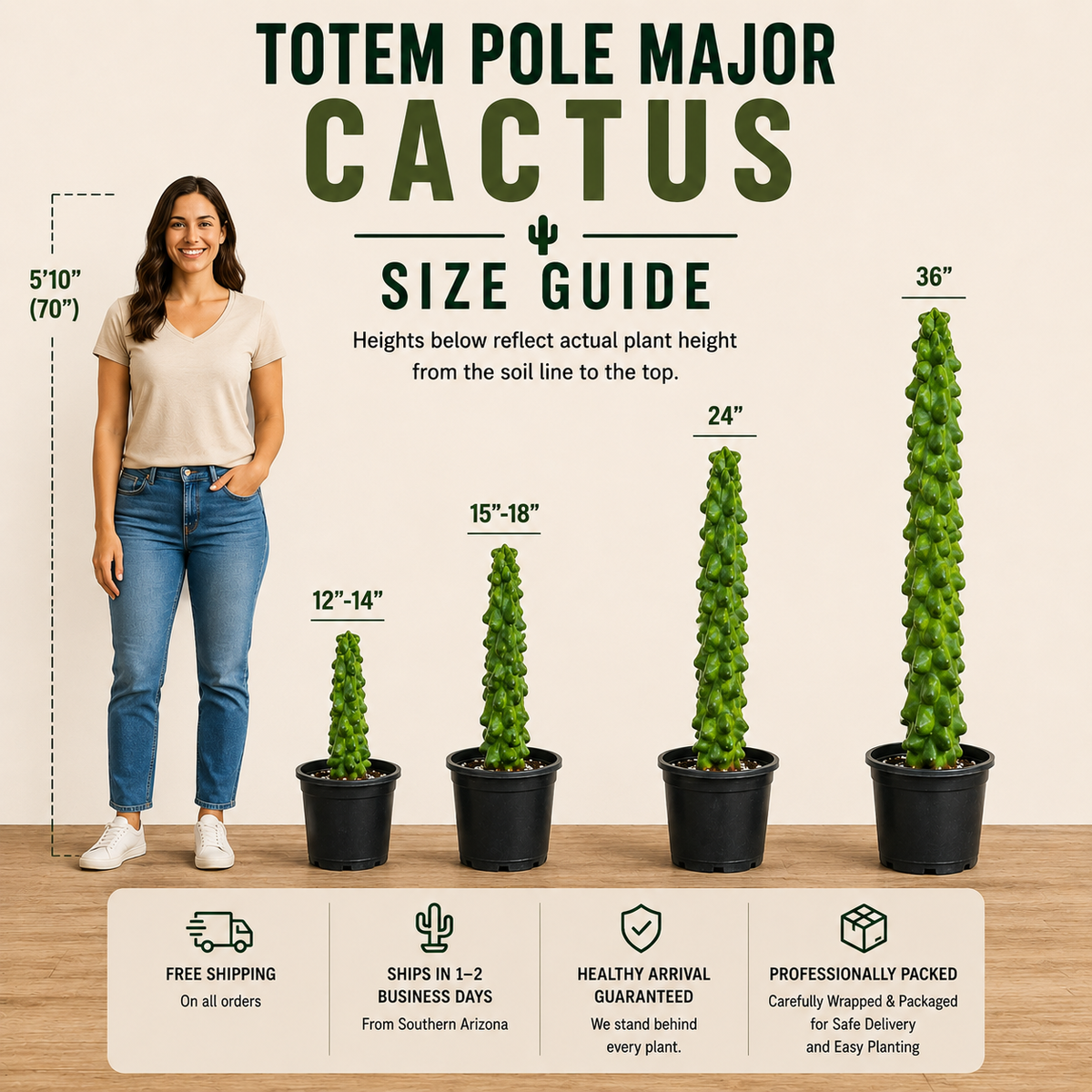Totem Pole 'Major'