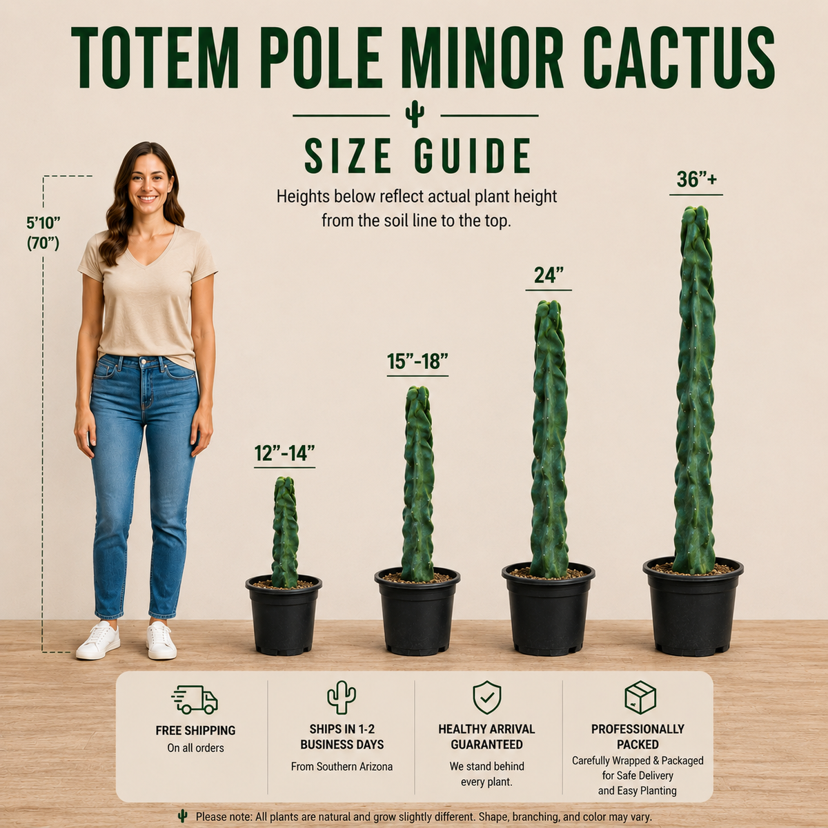 Totem Pole 'Minor'