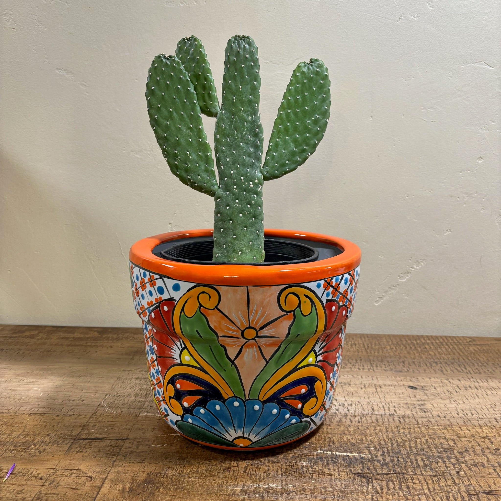 talavera succulent planter Talavera Pottery for Sale | Hand-Painted Cactus Pots & Planters