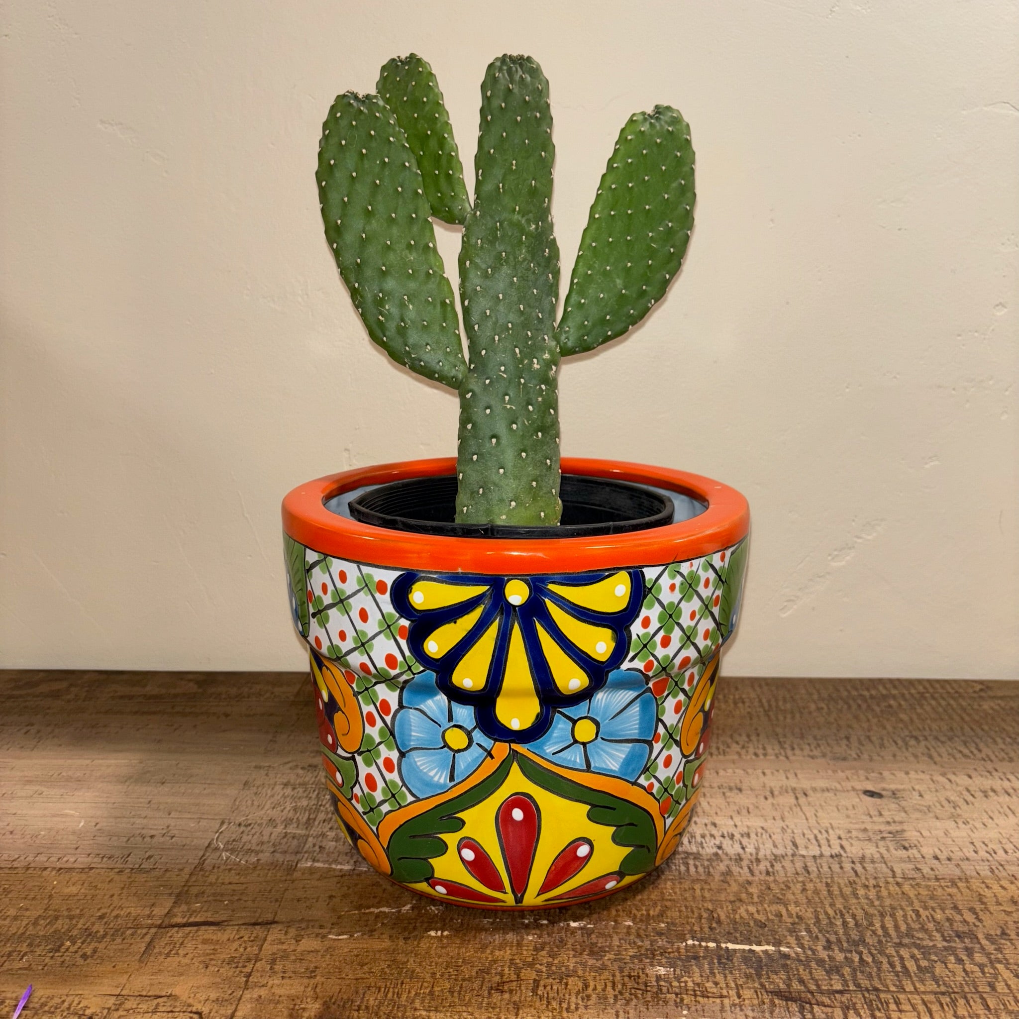 planter pots sale Talavera Pottery for Sale | Hand-Painted Cactus Pots & Planters