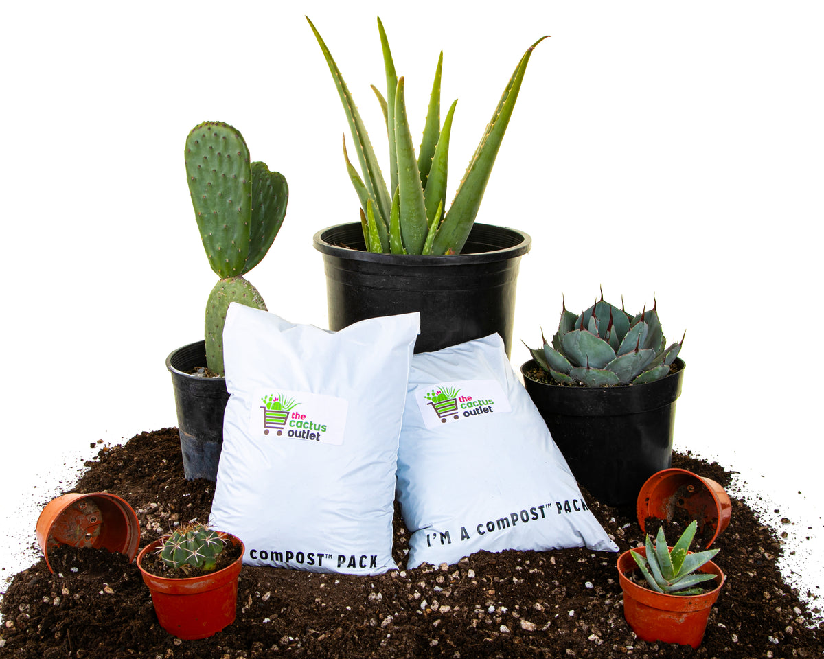 Cactus and Succulent Plant Soil For Sale Online Surrounded by Potted Cacti and Succulent Plants For Sale