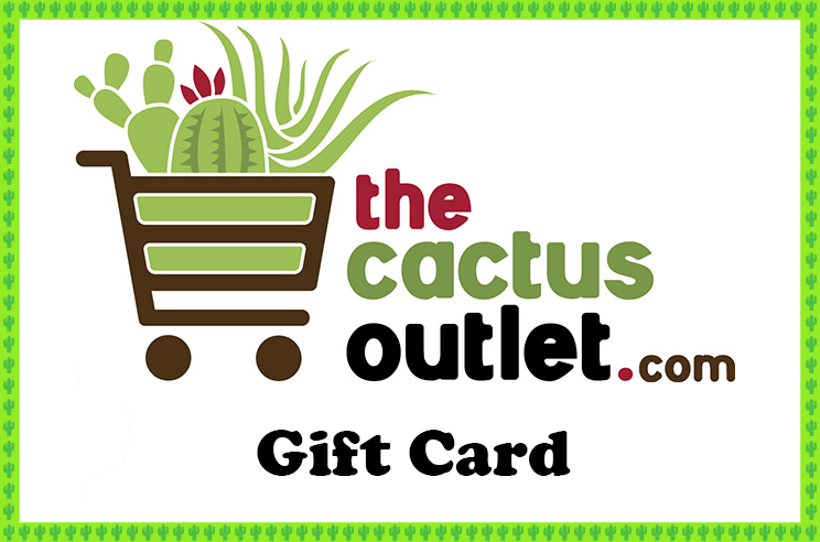 Cactus Outlet Gift Card.  Cacti and Succulents For Sale Online For Any Occasion!