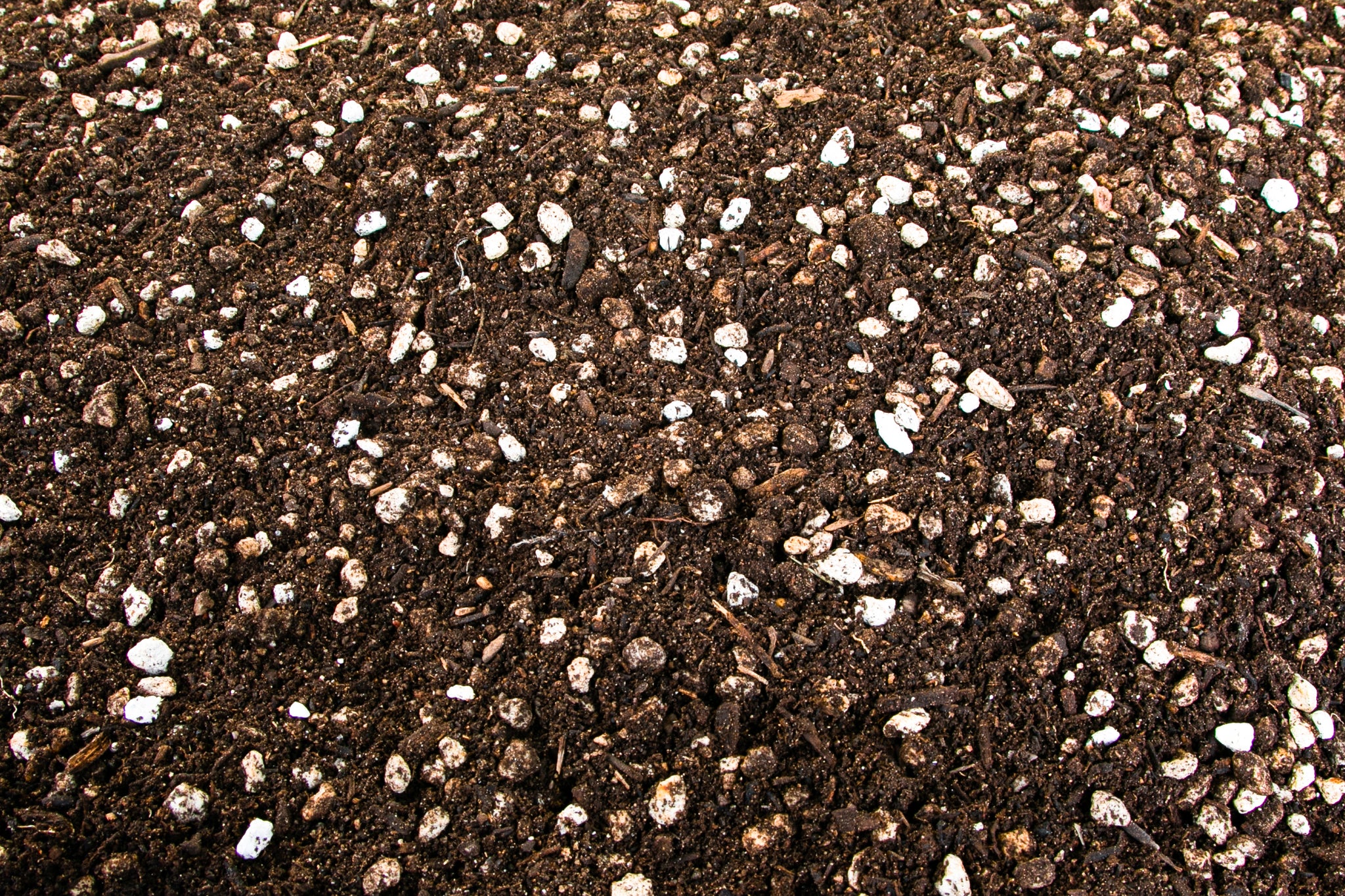 succulent soil for sale Cactus and Succulent Growers Soil